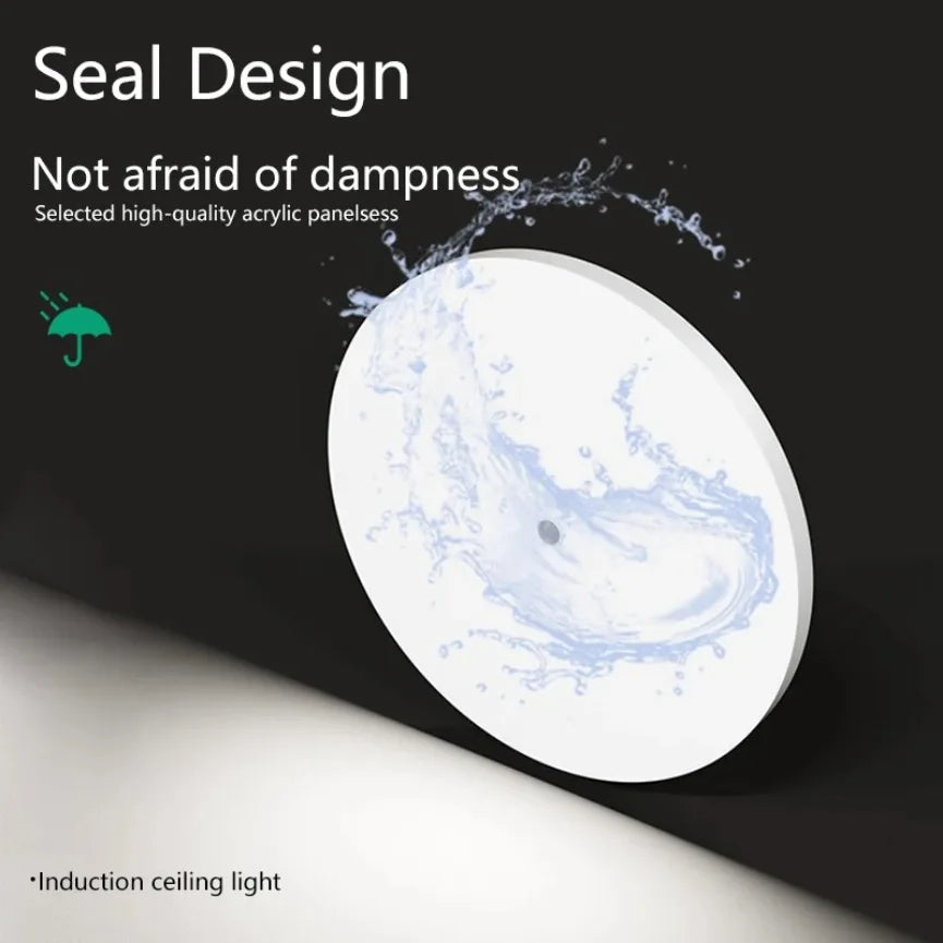 Motion Sensor LED Ceiling Light